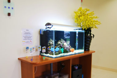 ひらが脳神経外科