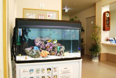 大野内科クリニック