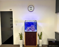 水槽正面から撮影2